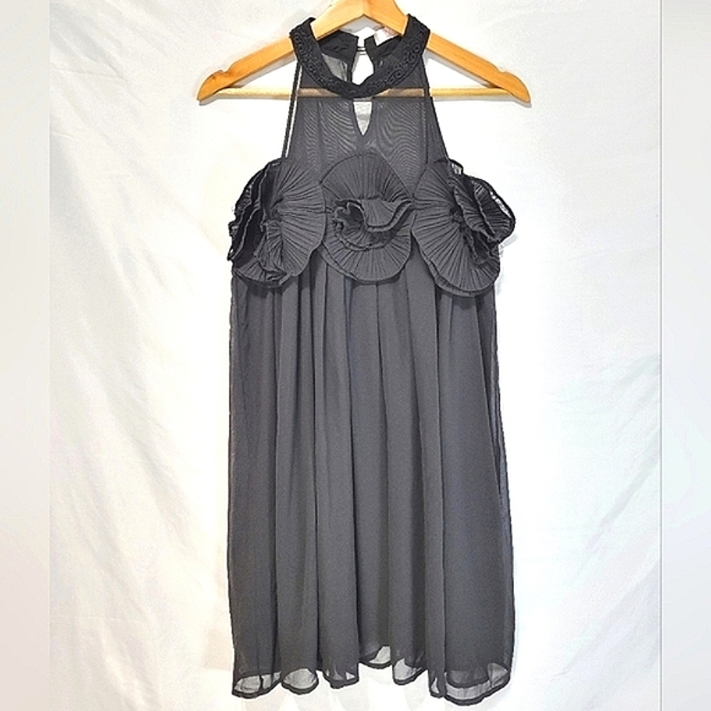 JJ'S Fairyland Black Sheer Rosette Whimsygoth Whimsical Romantic Goth Dress